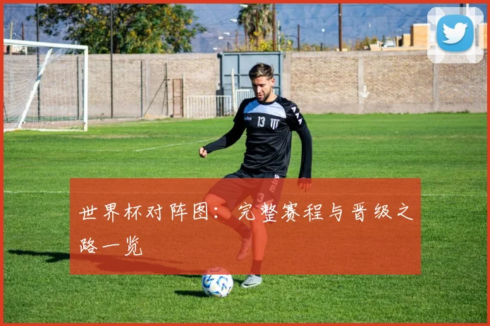 世界杯对阵图：完整赛程与晋级之路一览