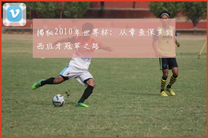 揭秘2010年世界杯：从章鱼保罗到西班牙冠军之路