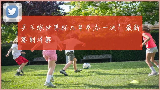 乒乓球世界杯几年举办一次?最新赛制详解