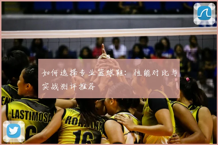 如何选择专业篮球鞋：性能对比与实战测评推荐